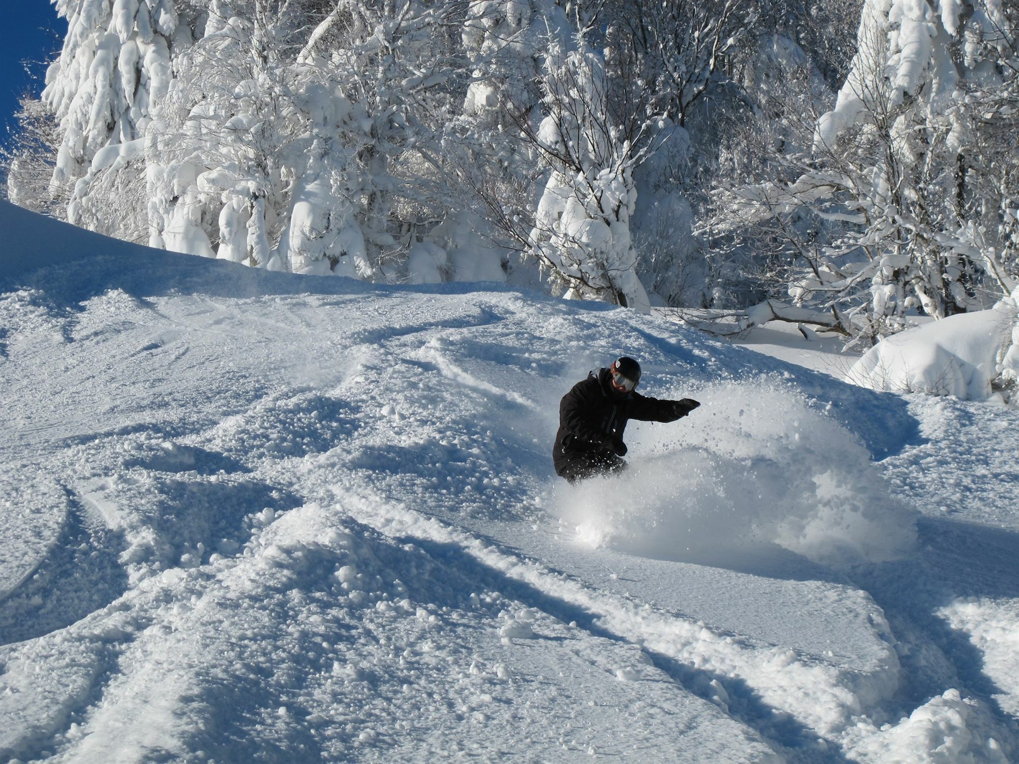 Inn At Snowshoe Kültér fotó